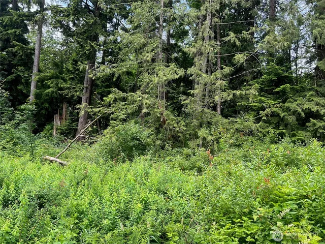an aerial view of residential house with space and trees all around