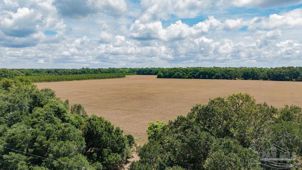 17 Three Three Oaks Lane Pace, FL 32571 - Photo 9 of 10