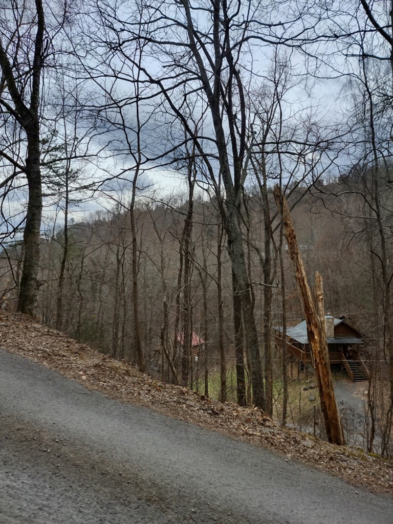 5 Rising Fawn Way Sevierville, TN 37862 - Photo 6 of 6