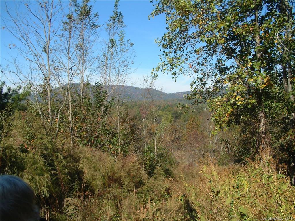 944 Calton Road Bostic, NC 28018 - Photo 13 of 24 Gallery Image 13