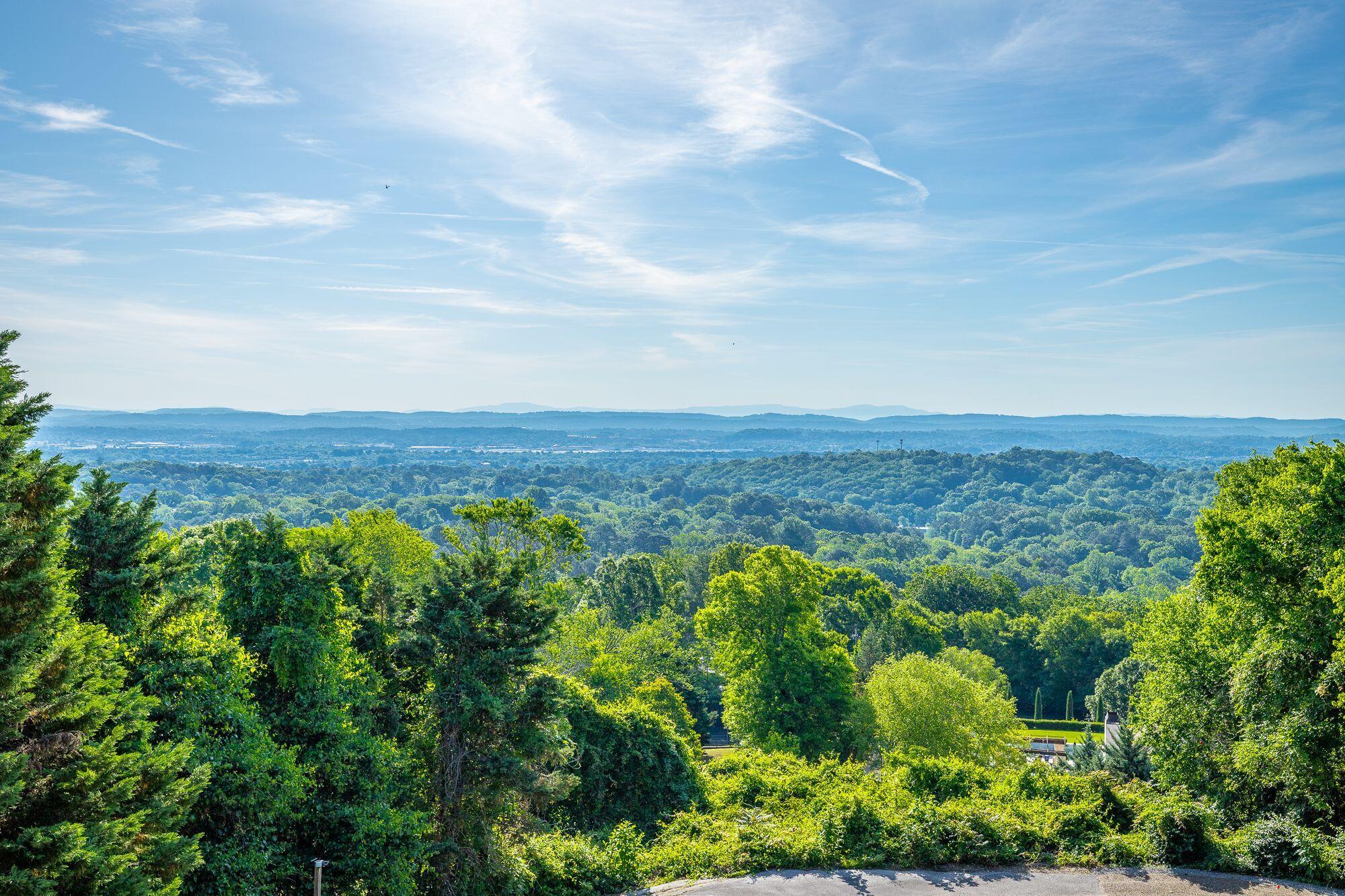 190 North Crest Road, Unit 10 Chattanooga, TN 37404 - Photo 18 of 26 View from Patio- Elizabeth