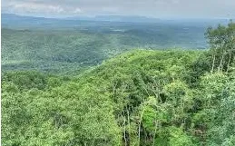 $89,000 | Lot 34 Lot Bluffs, Ellijay, GA 30540