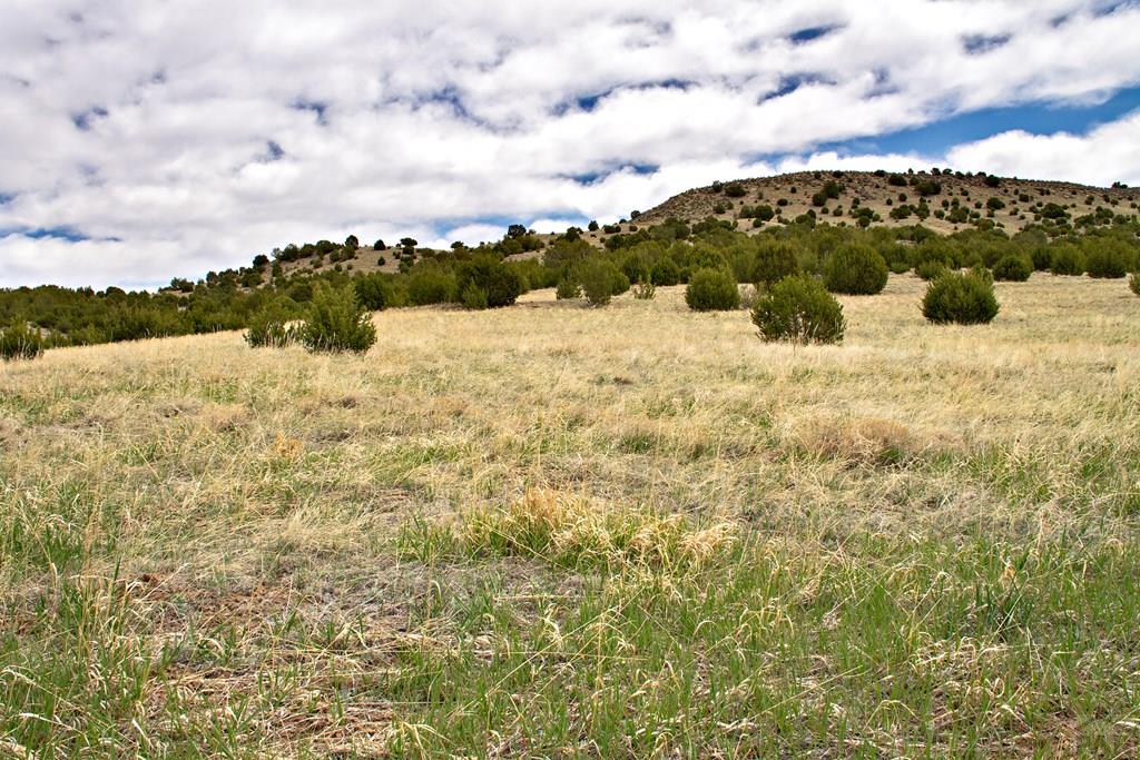Tbd Garrett Road Beulah, CO 81023 - Photo 12 of 42 Gallery Image 12