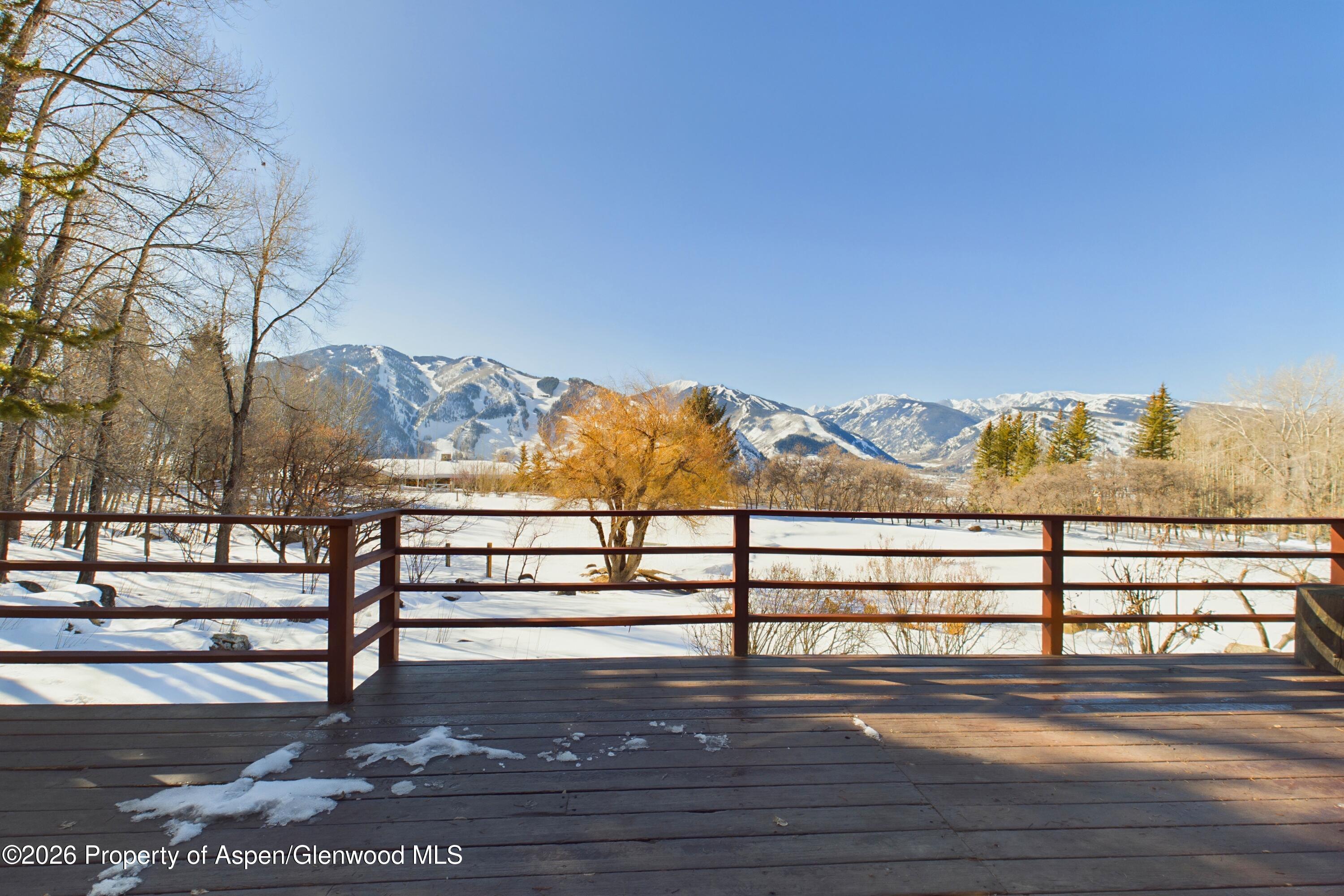 209 East Reds Road Aspen, CO 81612 - Photo 21 of 54 0209 E Reds Rd-27