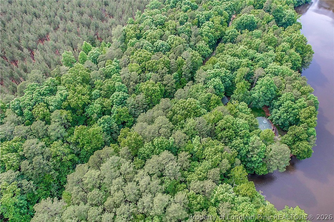 122 Palomino Road Carthage, NC 28327 - Photo 5 of 11 an aerial view of a house with a yard and outdoor space