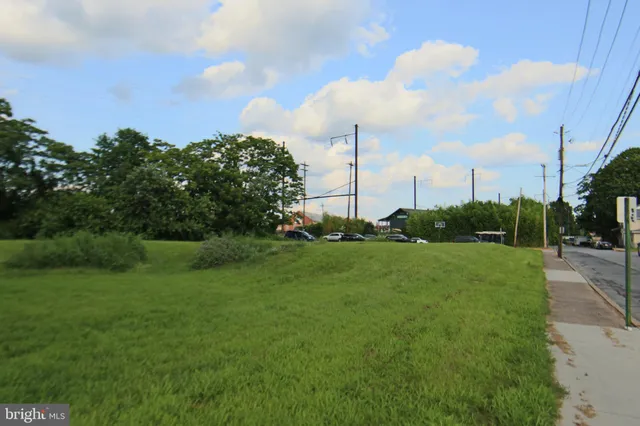 a view of a park with a large tree