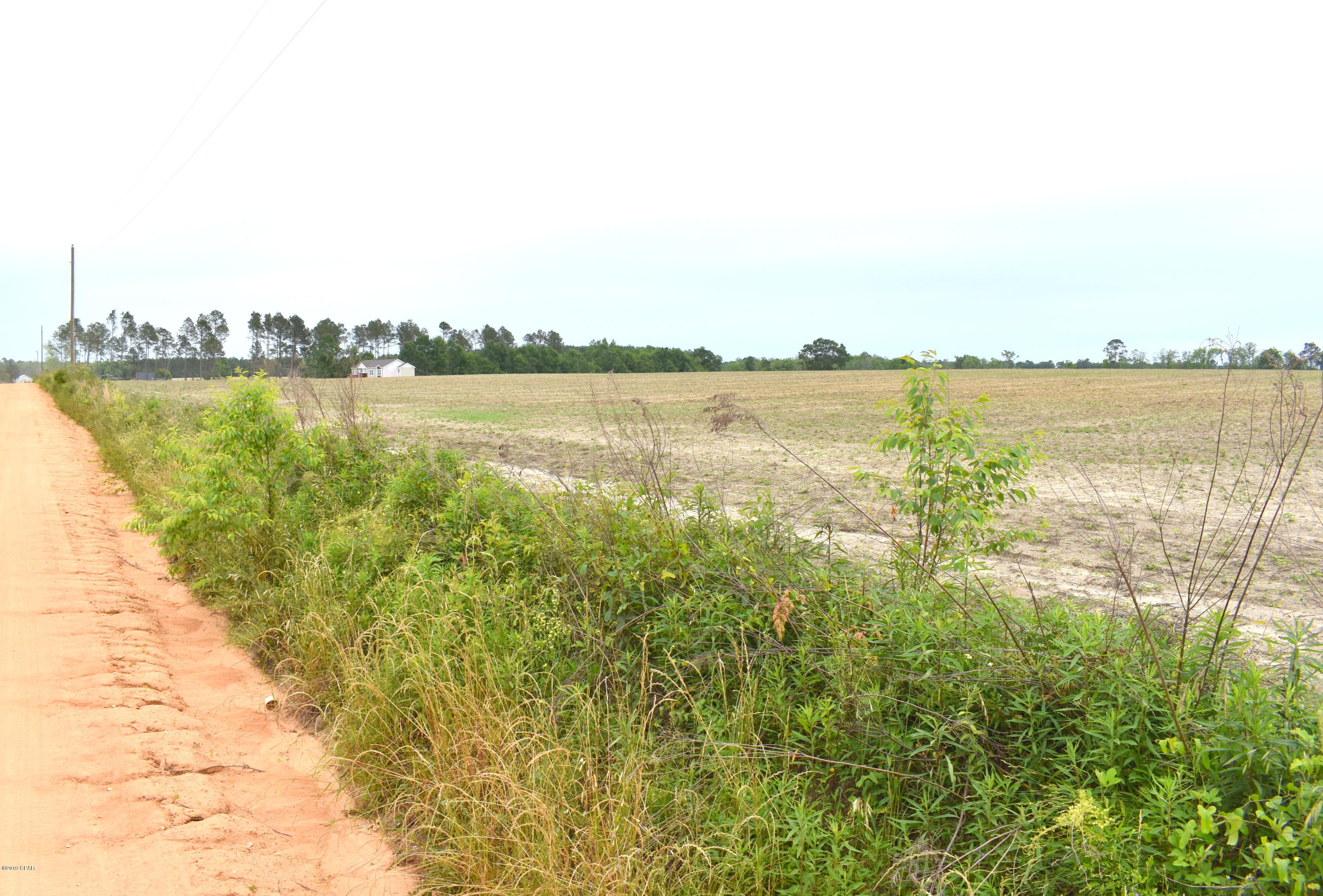 Xxx Bedie Road Chipley, FL 32428 - Photo 3 of 3