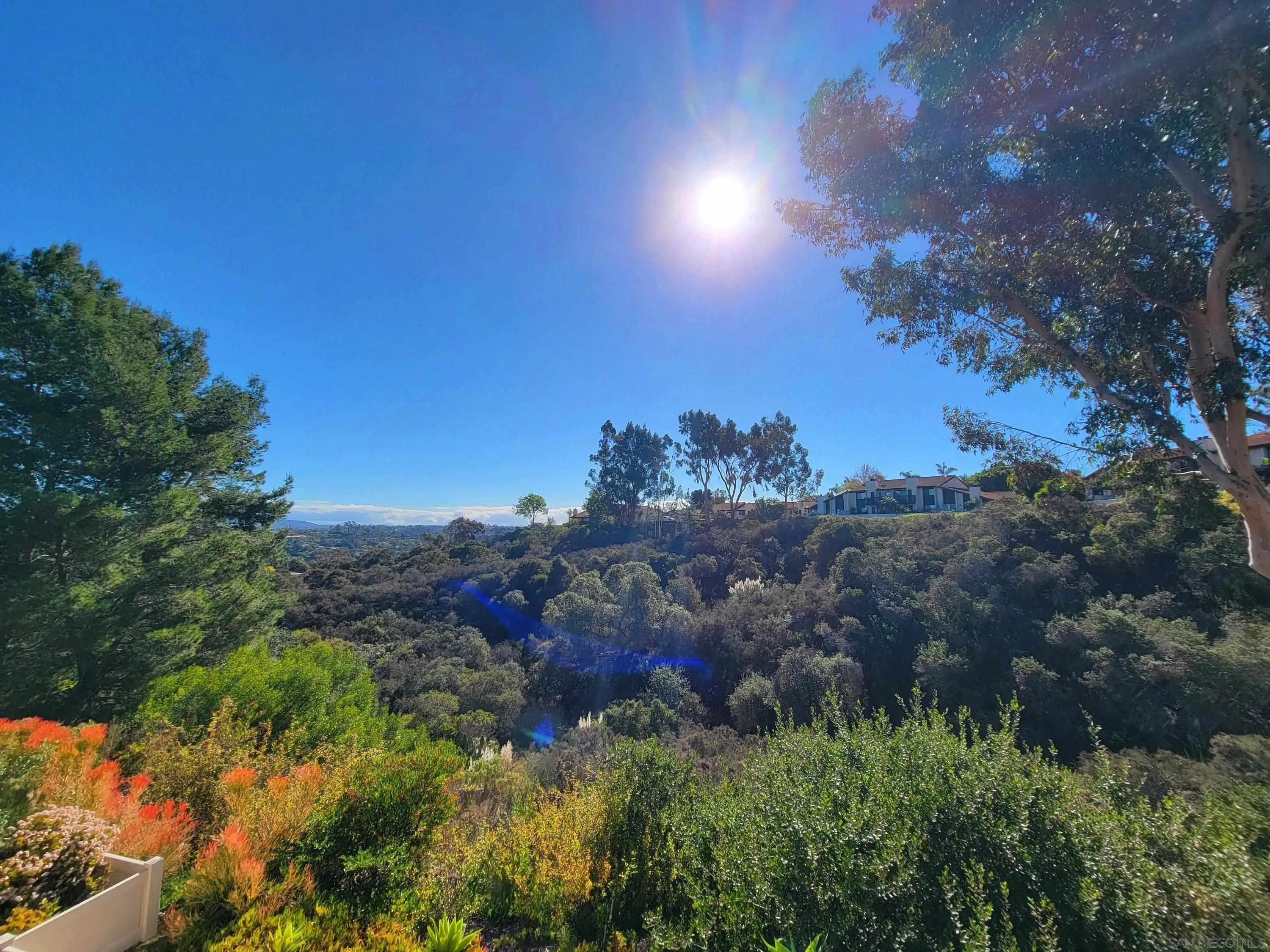 116 South Darien Drive Encinitas, CA 92024 - Photo 23 of 27 a view of sunset and green space
