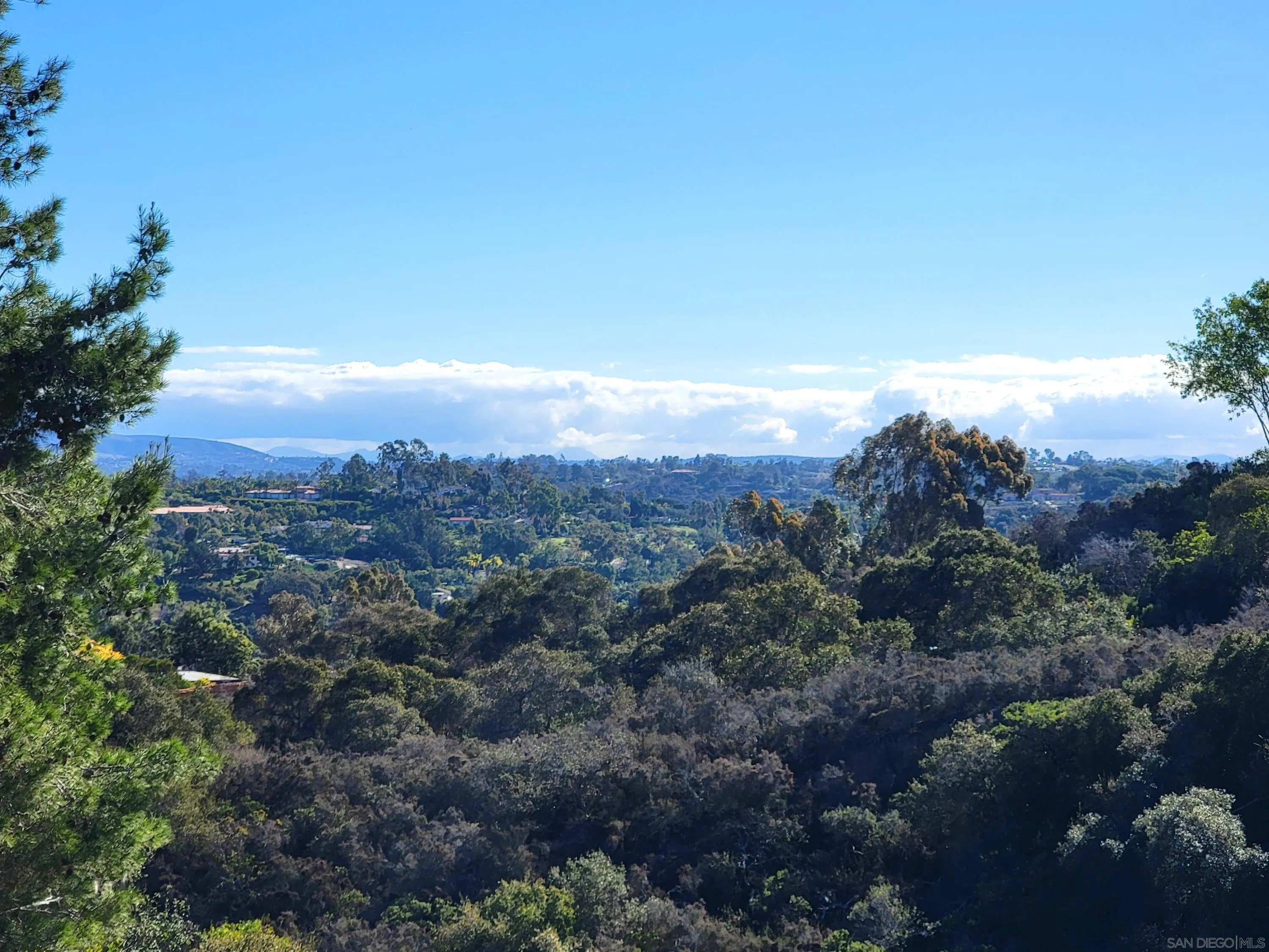 116 South Darien Drive Encinitas, CA 92024 - Photo 24 of 27 a view of a city with lush green forest