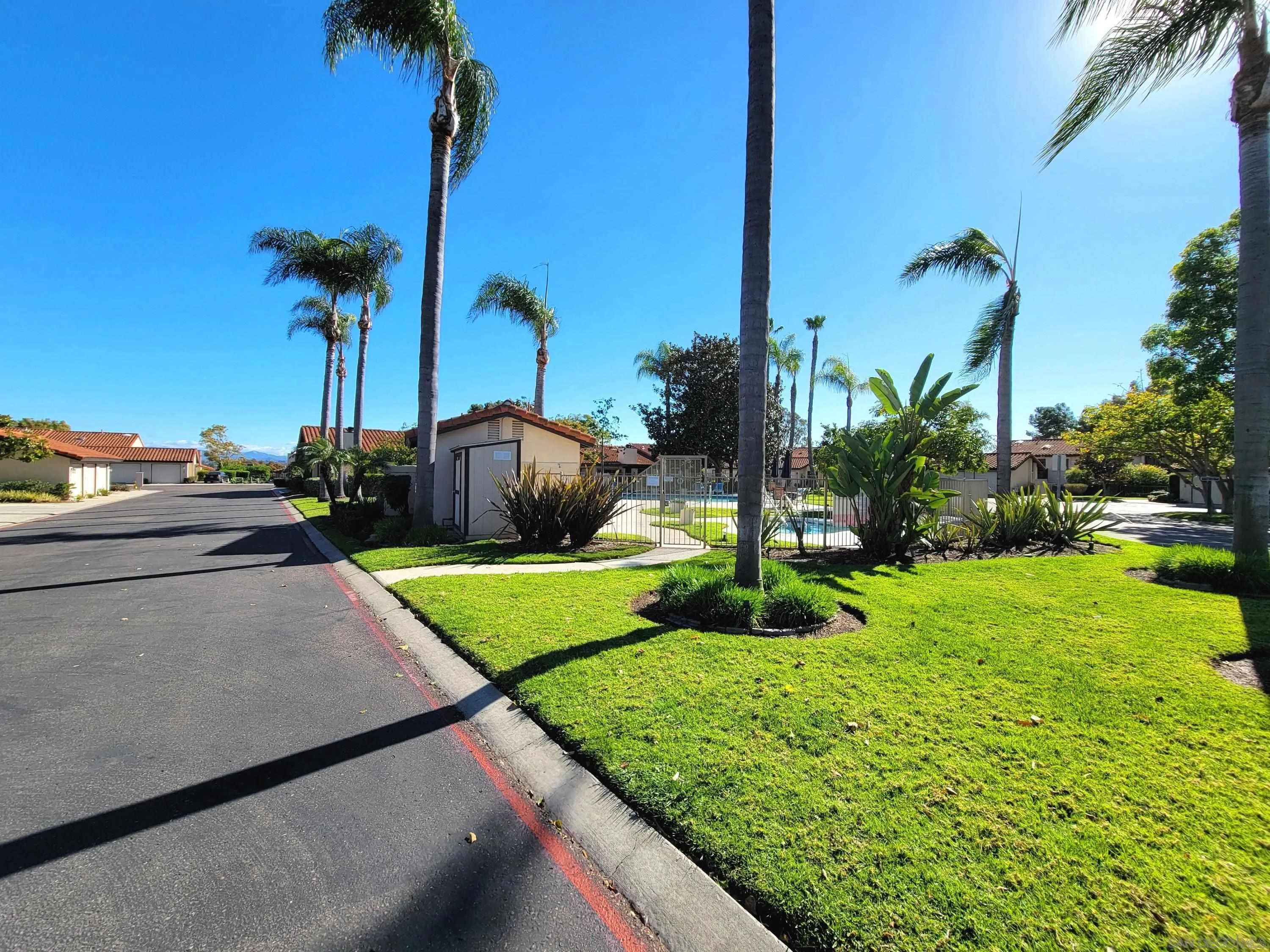 116 South Darien Drive Encinitas, CA 92024 - Photo 25 of 27 a view of a garden with a tree