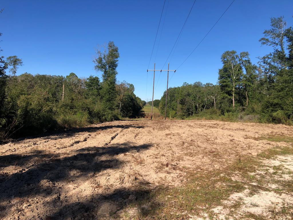 Undisclosed Address Samson, AL 36477 - Photo 32 of 39