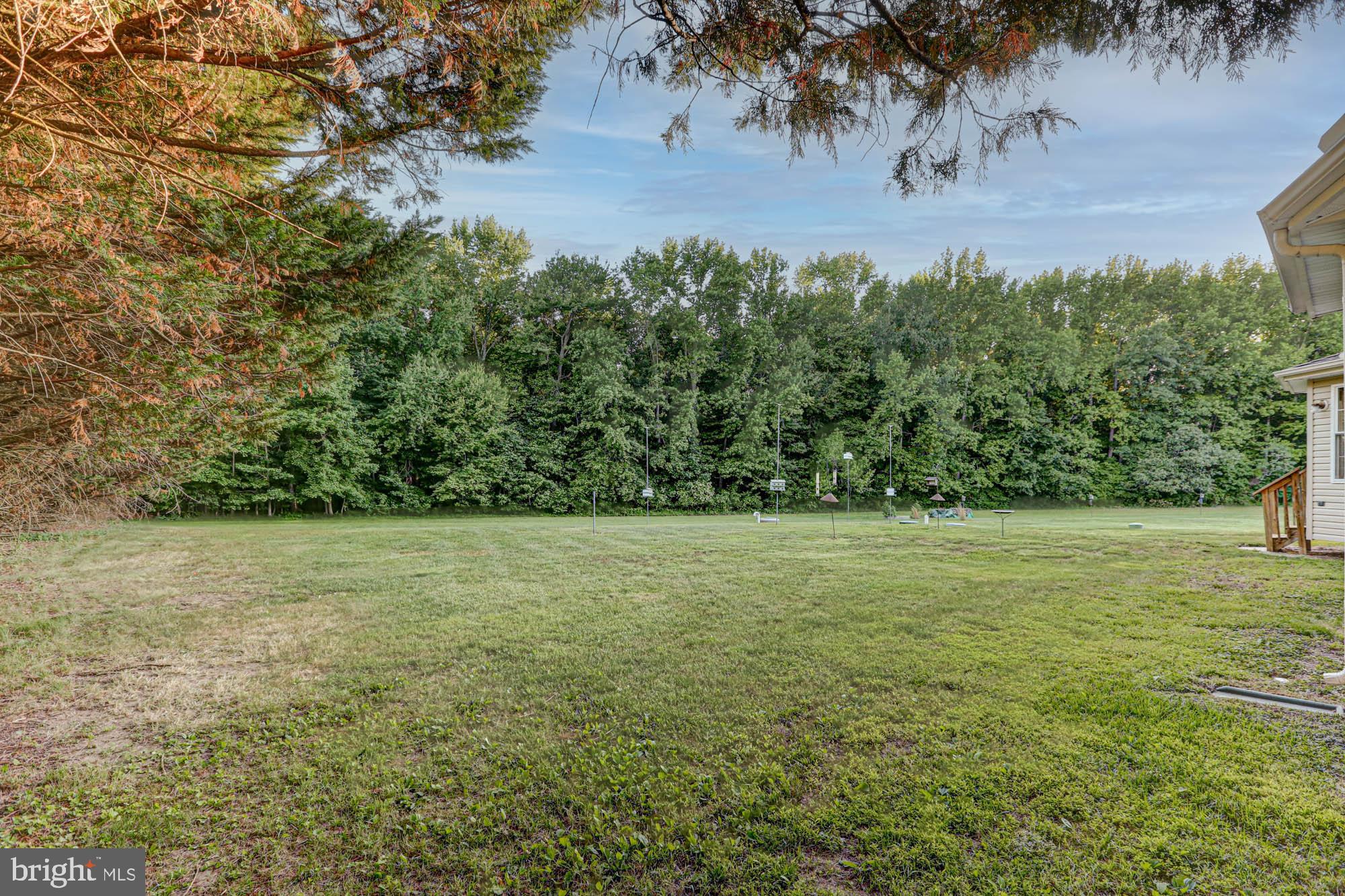 230 Tina Marie Lane Smyrna, DE 19977 - Photo 83 of 83 a view of a field with trees