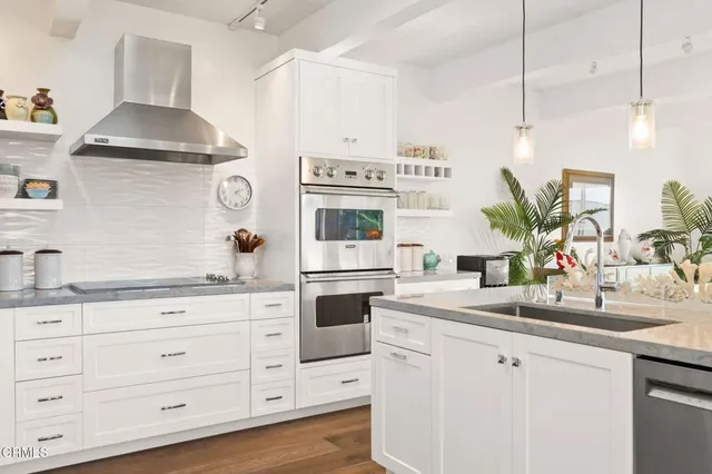 a kitchen with stainless steel appliances white cabinets a potted plant and a sink