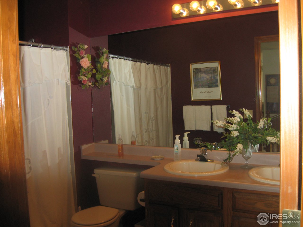 637 Rider Ridge Drive Longmont, CO 80504 - Photo 11 of 23 Upstairs bath