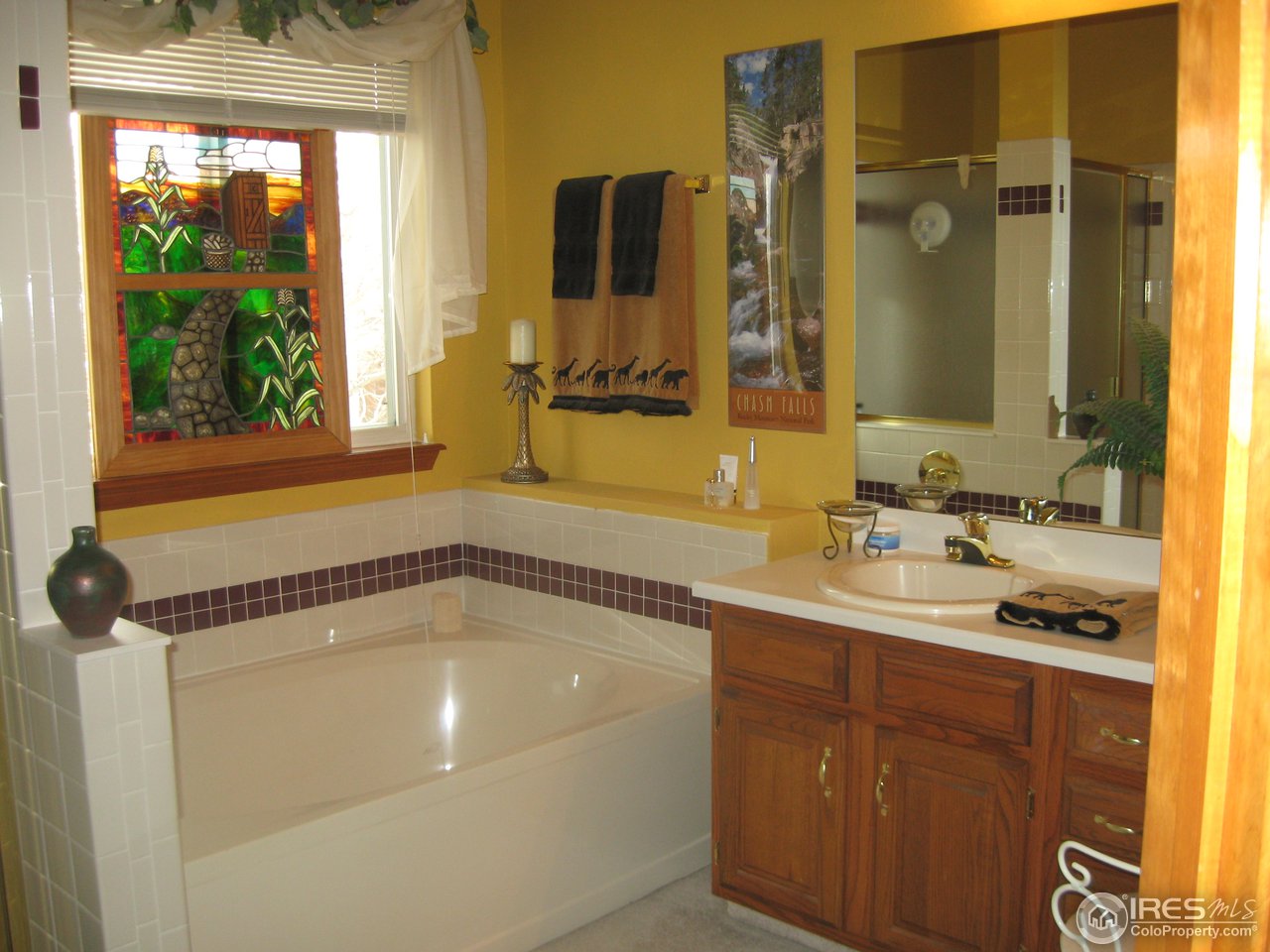 637 Rider Ridge Drive Longmont, CO 80504 - Photo 15 of 23 MBR bath