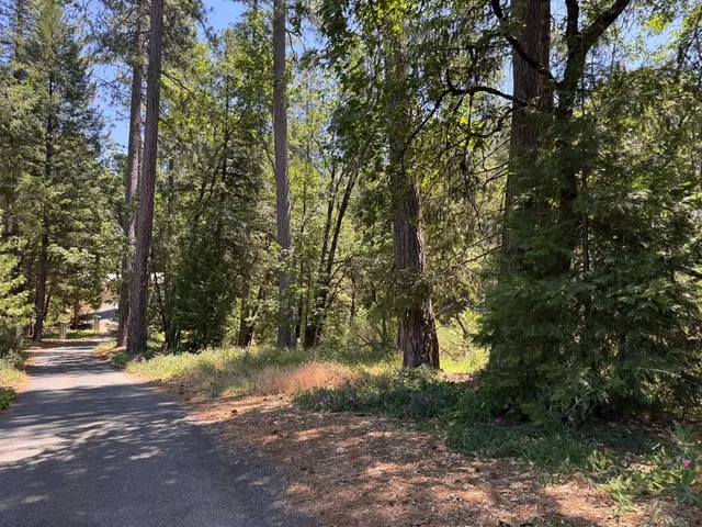 a view of outdoor space and yard