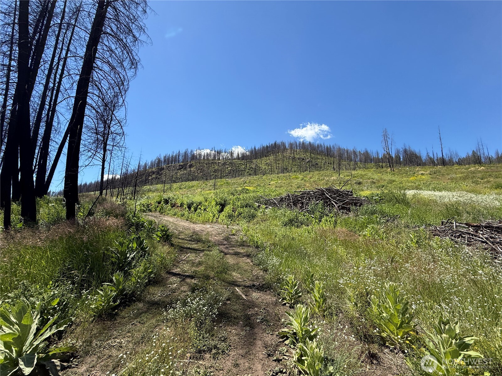 32 4th Of July Creek Road Danville, WA 99121 - Photo 20 of 20