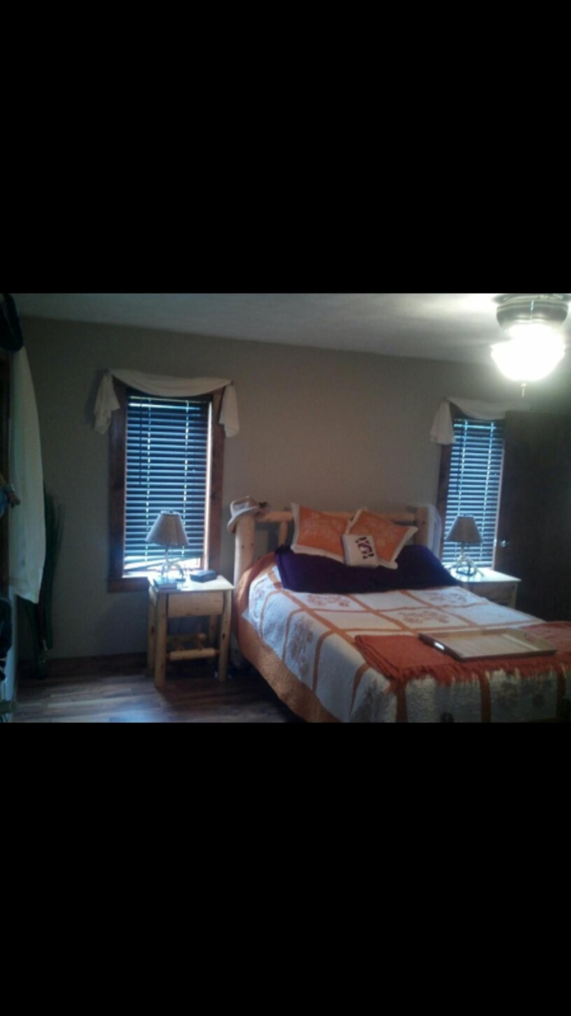 3600 Kendaville Road Northeast Edmore, MI 48829 - Photo 11 of 15 IMG_4186