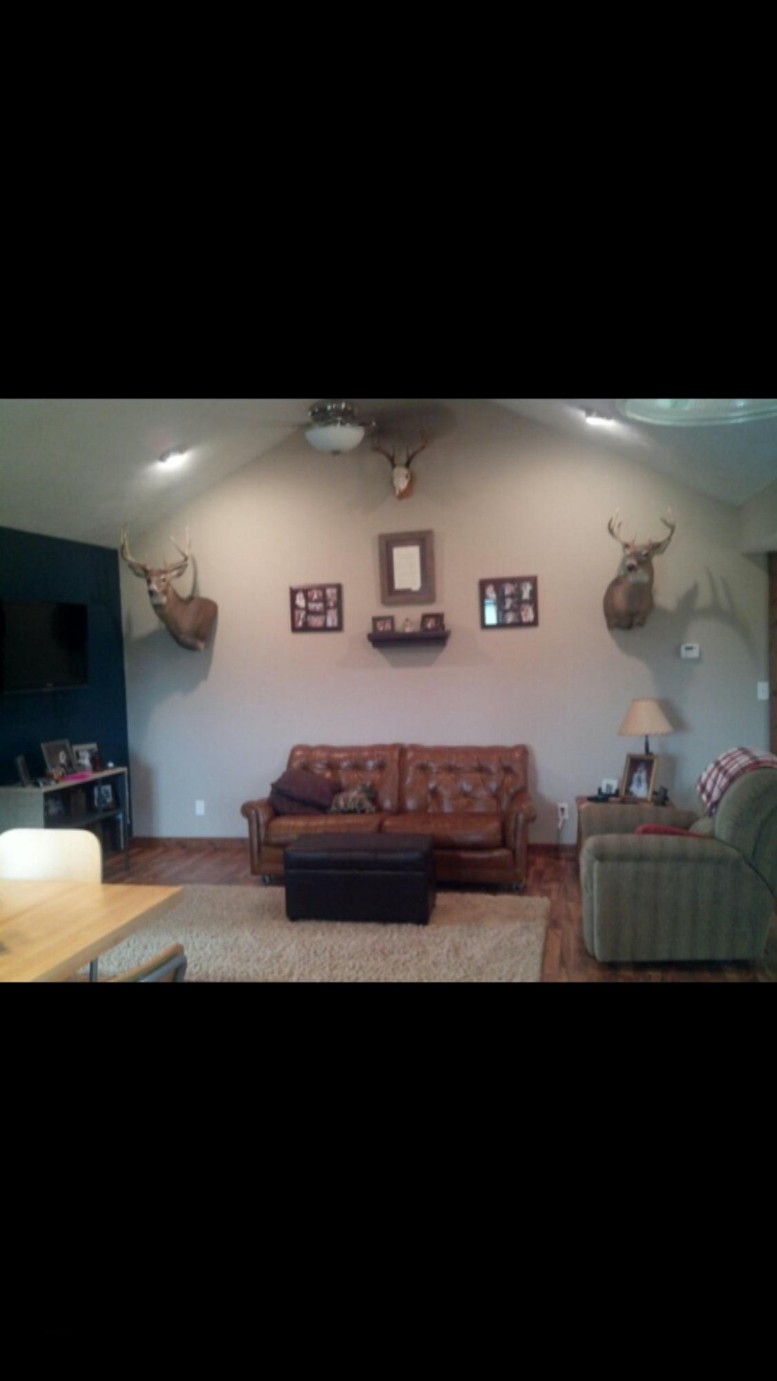 3600 Kendaville Road Northeast Edmore, MI 48829 - Photo 6 of 15 IMG_4185