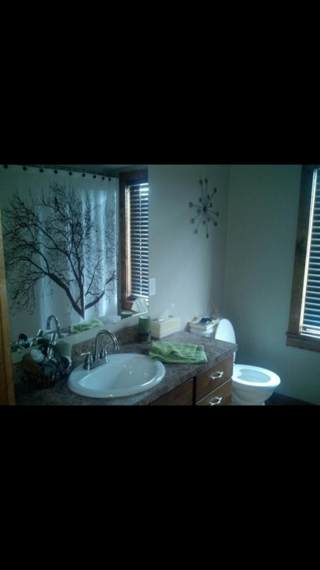 3600 Kendaville Road Northeast Edmore, MI 48829 - Photo 10 of 15 IMG_4184