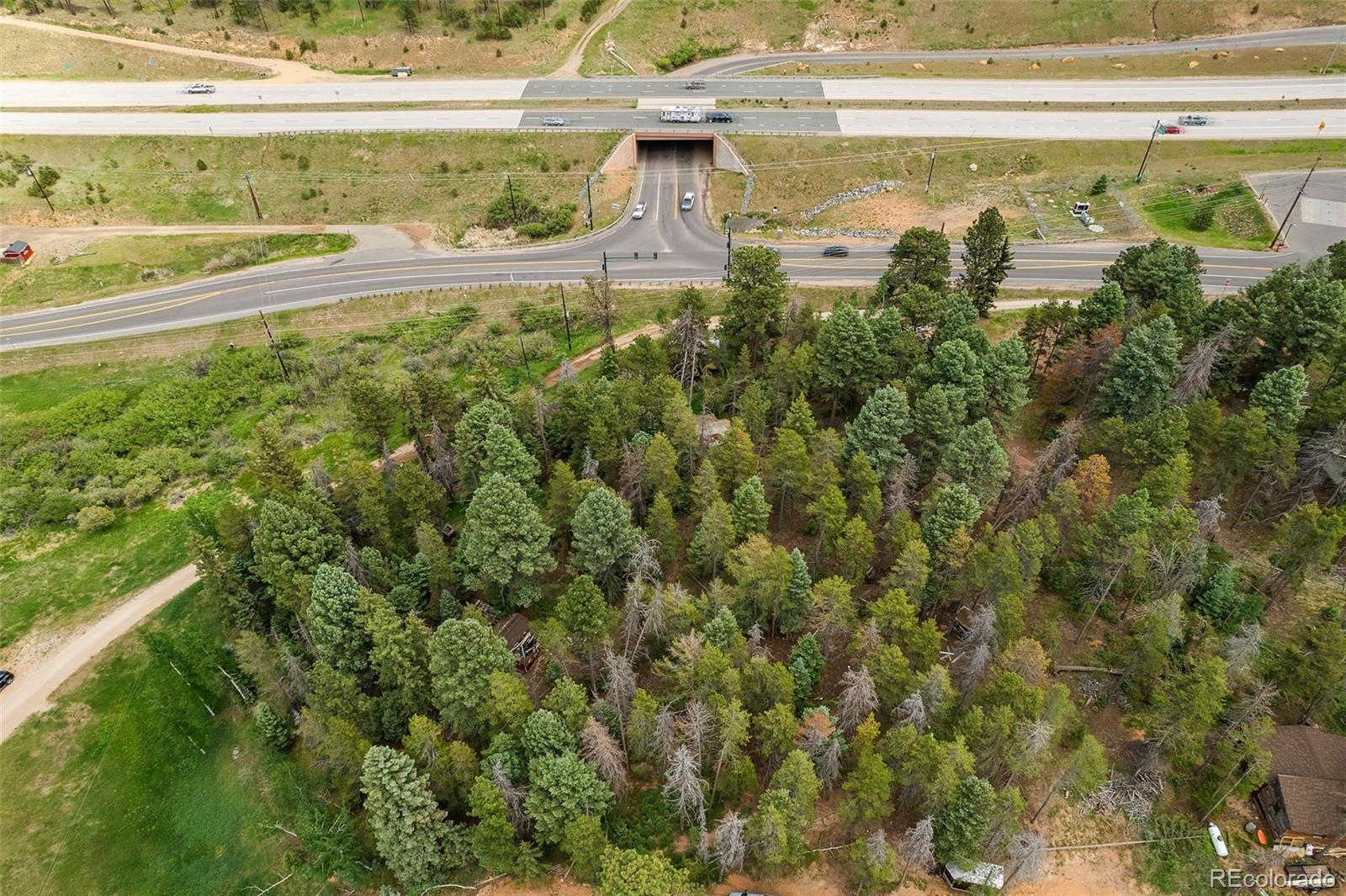 26824 Rascal Lane Conifer, CO 80433 - Photo 12 of 12