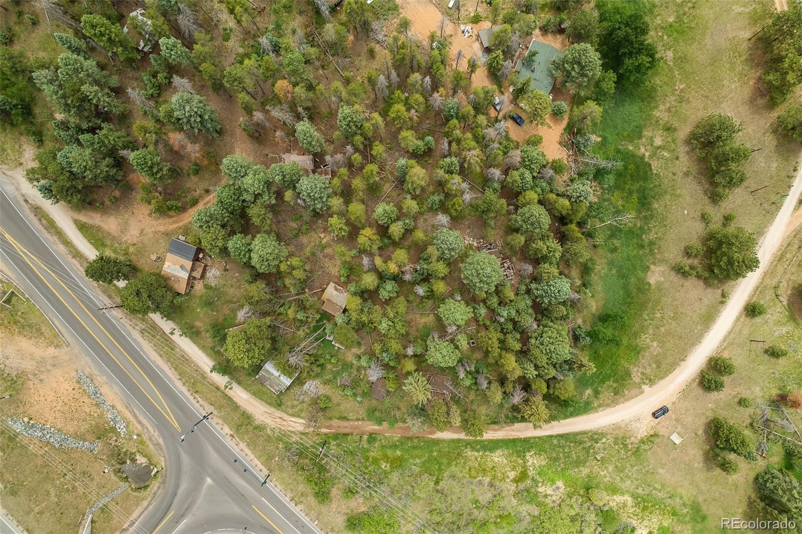 26824 Rascal Lane Conifer, CO 80433 - Photo 4 of 13