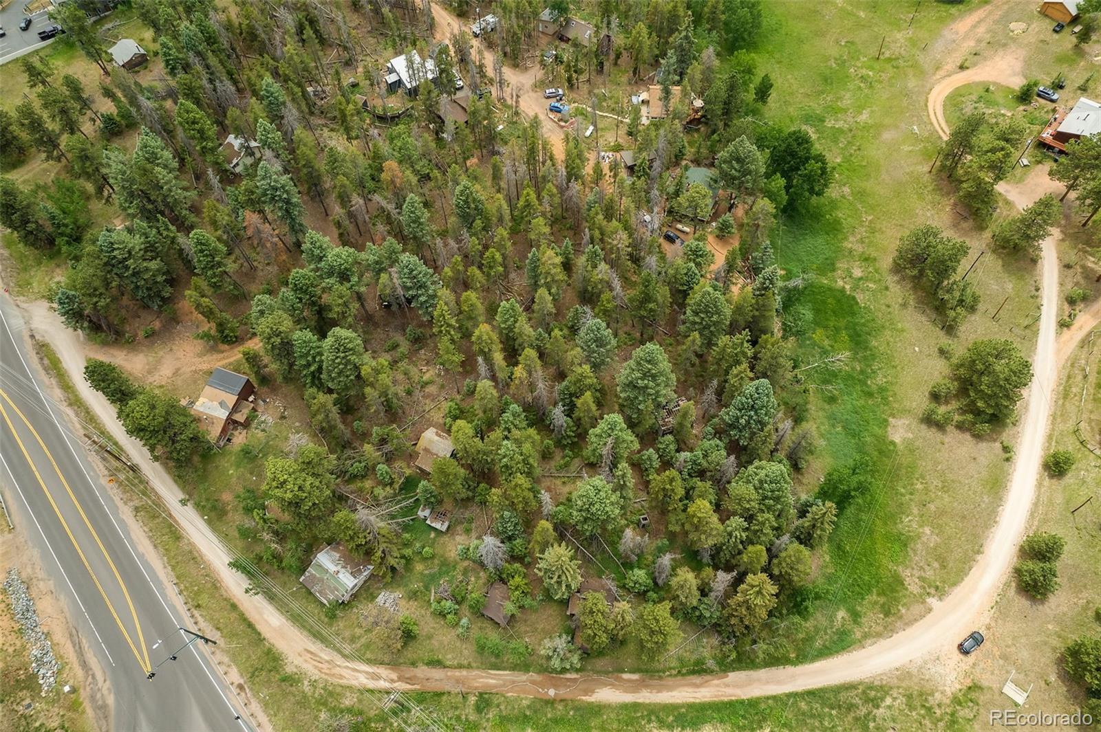 26824 Rascal Lane Conifer, CO 80433 - Photo 9 of 12