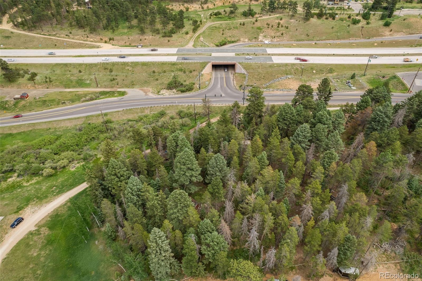 26824 Rascal Lane Conifer, CO 80433 - Photo 10 of 12