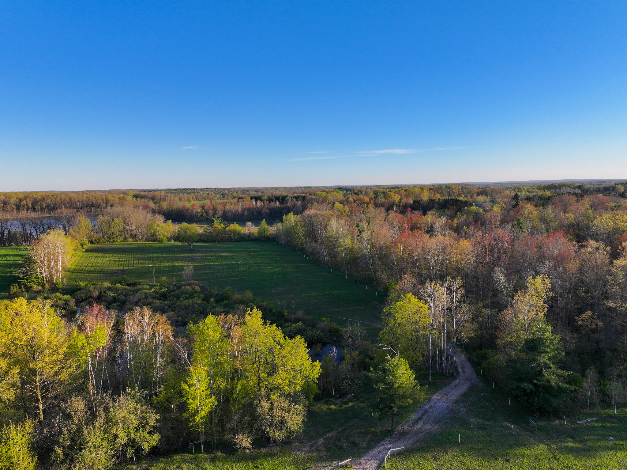 17463 Sunrise Lake Road Leroy, MI 49655 - Photo 43 of 62 DJI_20260504203106_0467_D