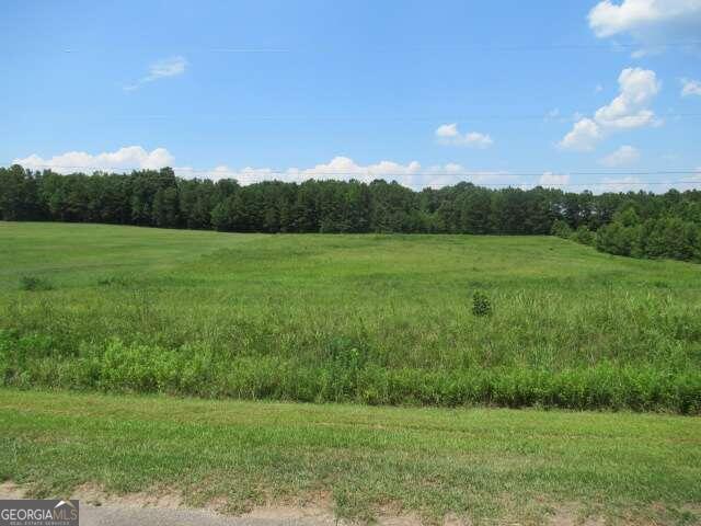 250 Blackwelder Road Roopville, GA 30170 - Photo 1 of 1 a view of an outdoor space and a yard