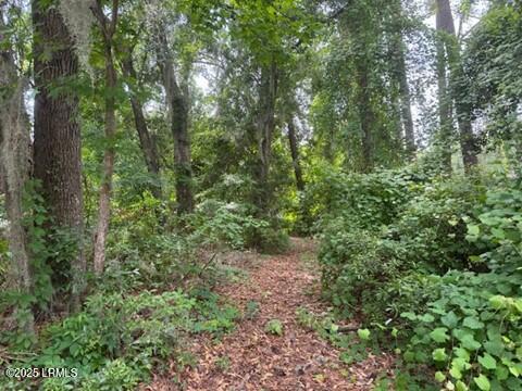 710 North Reeve Road St. Helena Island, SC 29920 - Photo 1 of 6 Lot View