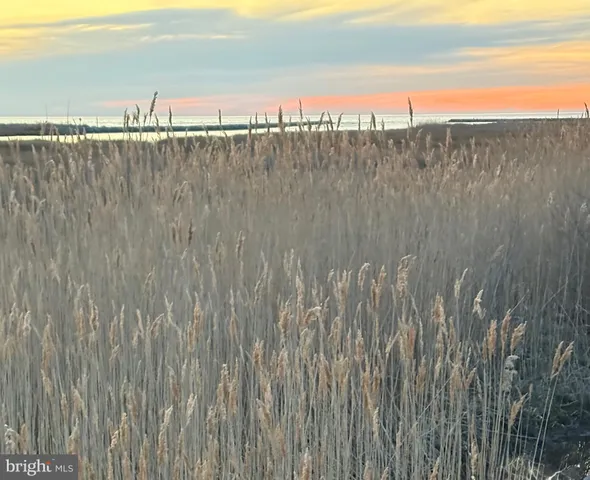 a view of a ocean with a field