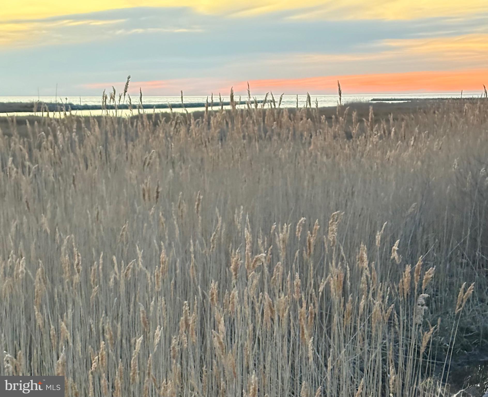 0017 Marsh Road Ewell, MD 21824 - Photo 5 of 12 a view of a ocean with a field