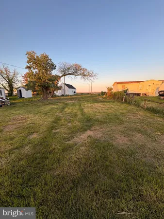 a view of yard with large tree