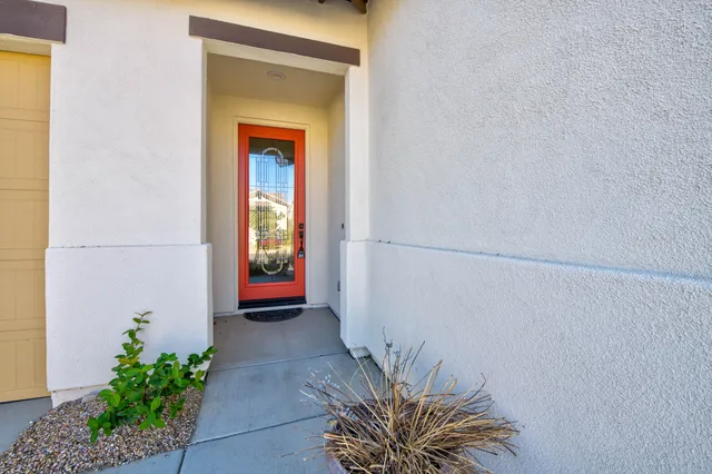 a view of a hallway with wooden floor and a potted plant