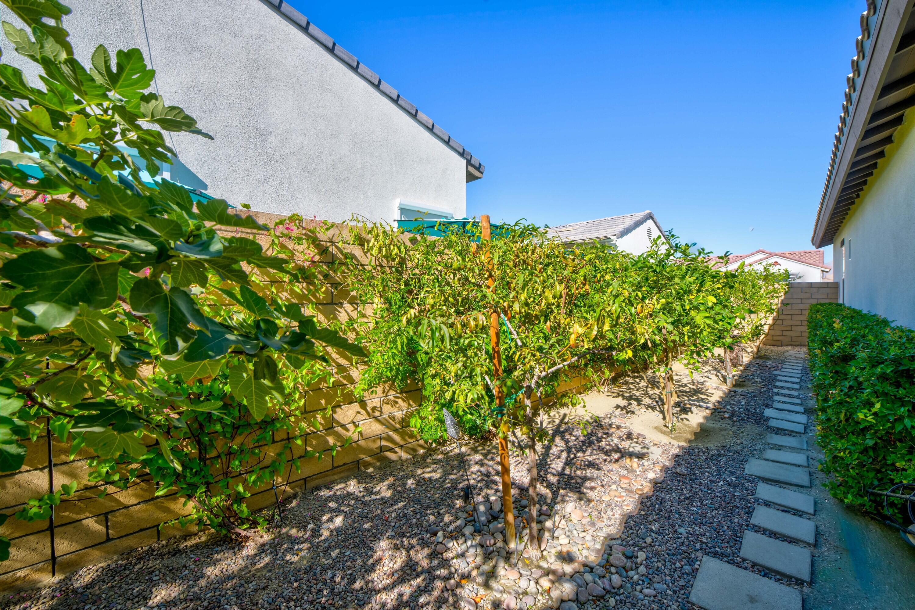 78863 Amare Way Palm Desert, CA 92211 - Photo 35 of 39 a backyard of a house with lots of green space