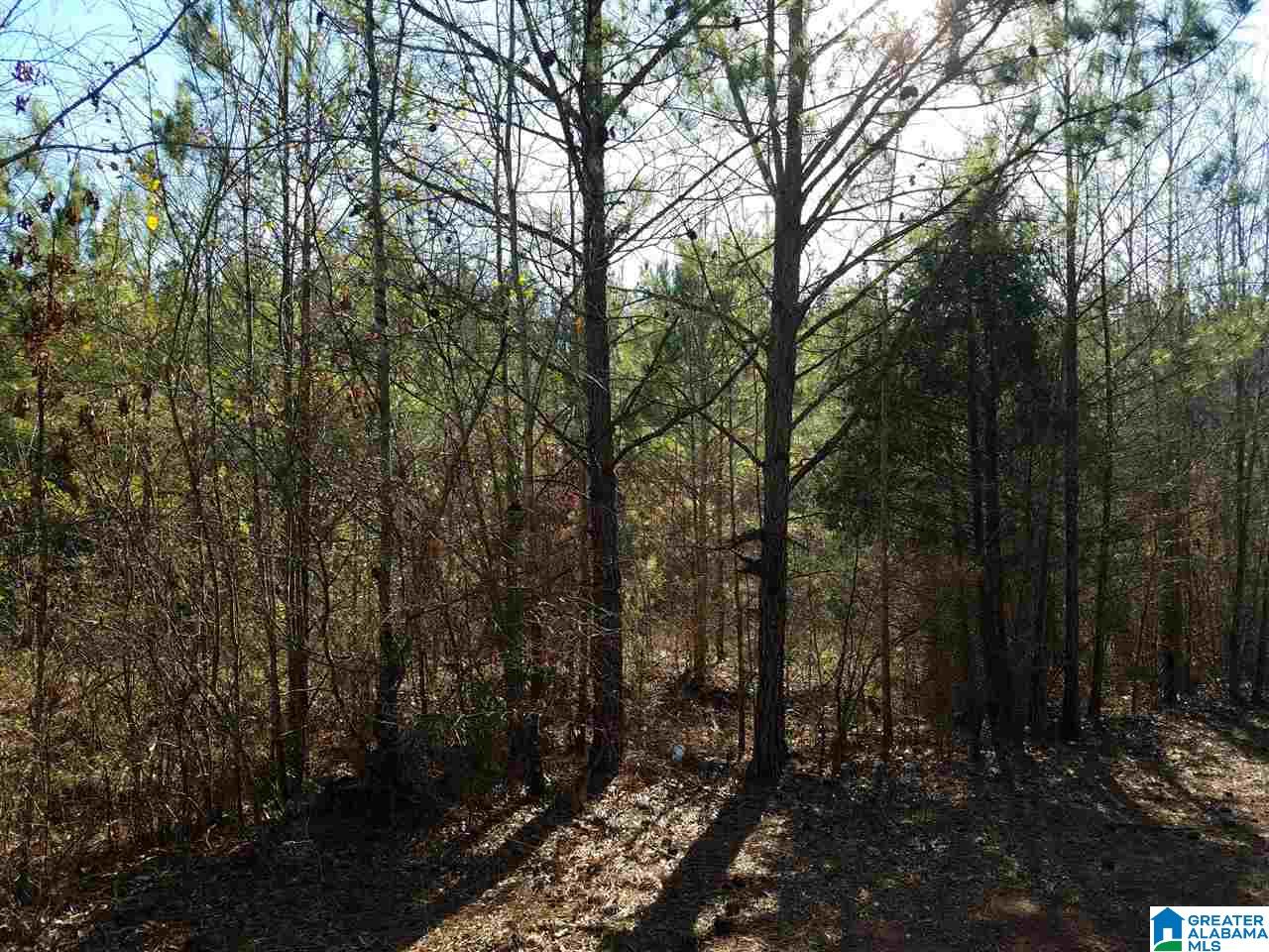 0 Cove Access Road, Unit 7 ACRES Talladega, AL 35160 - Photo 12 of 19