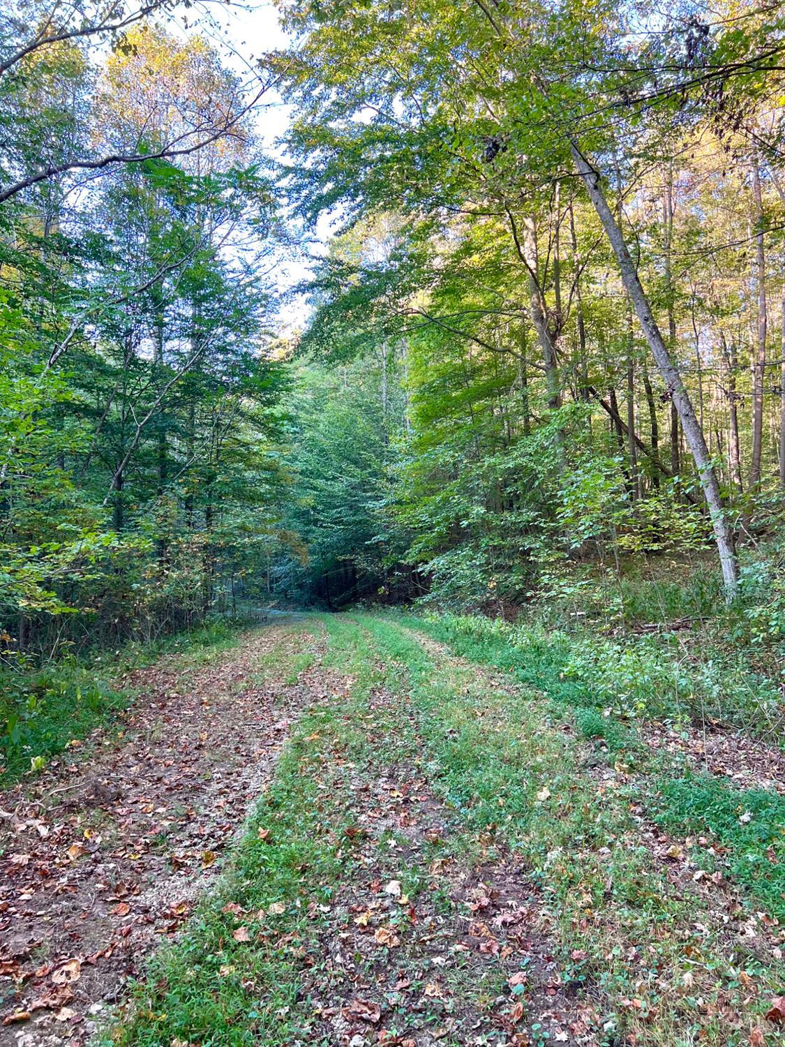 0 South Chenoweth Fork Road Piketon, OH 45661 - Photo 89 of 95
