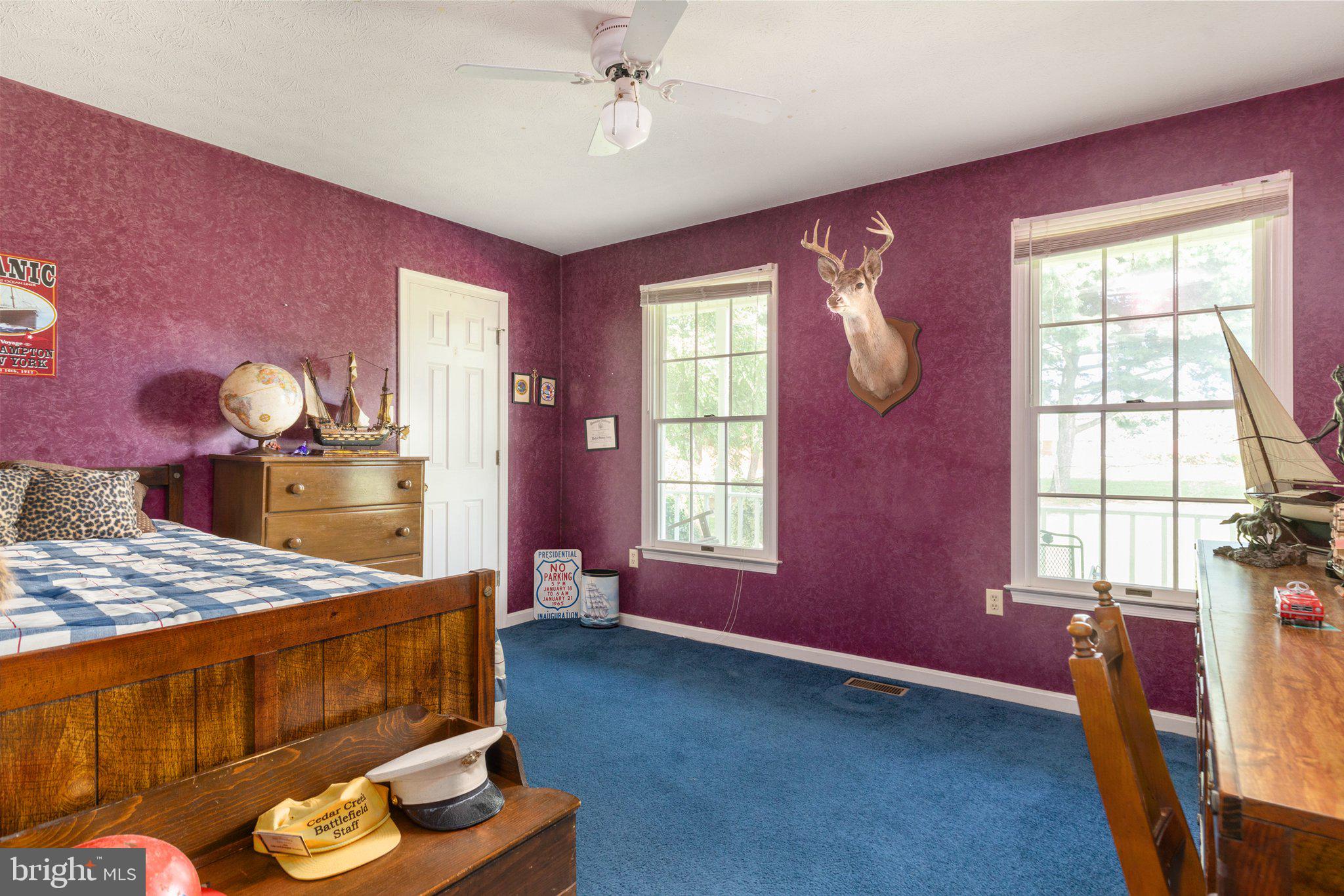 409 Stickley Loop Strasburg, VA 22657 - Photo 19 of 43 Bedroom 4 on main level