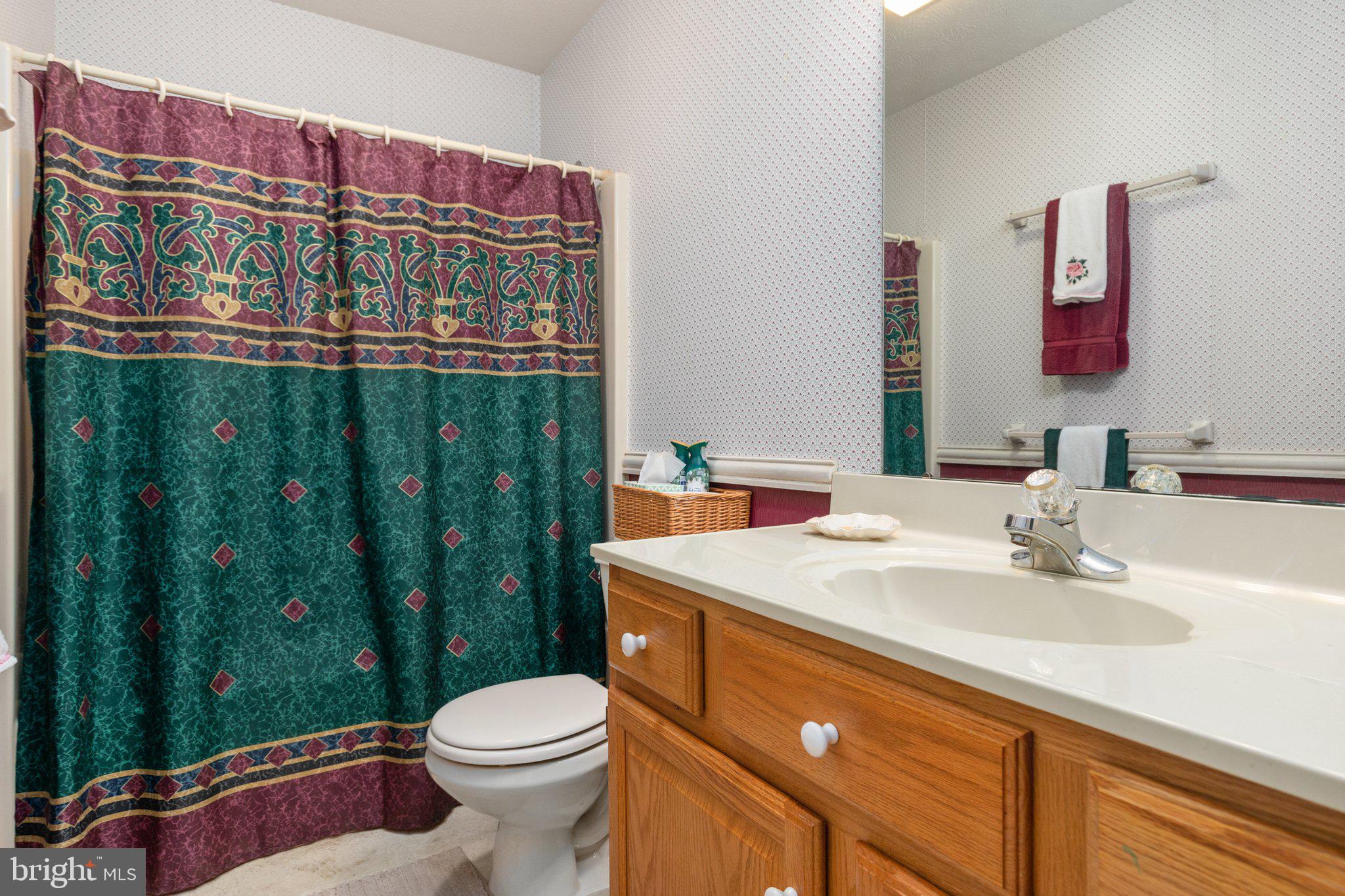 409 Stickley Loop Strasburg, VA 22657 - Photo 20 of 43 Full bathroom on main level