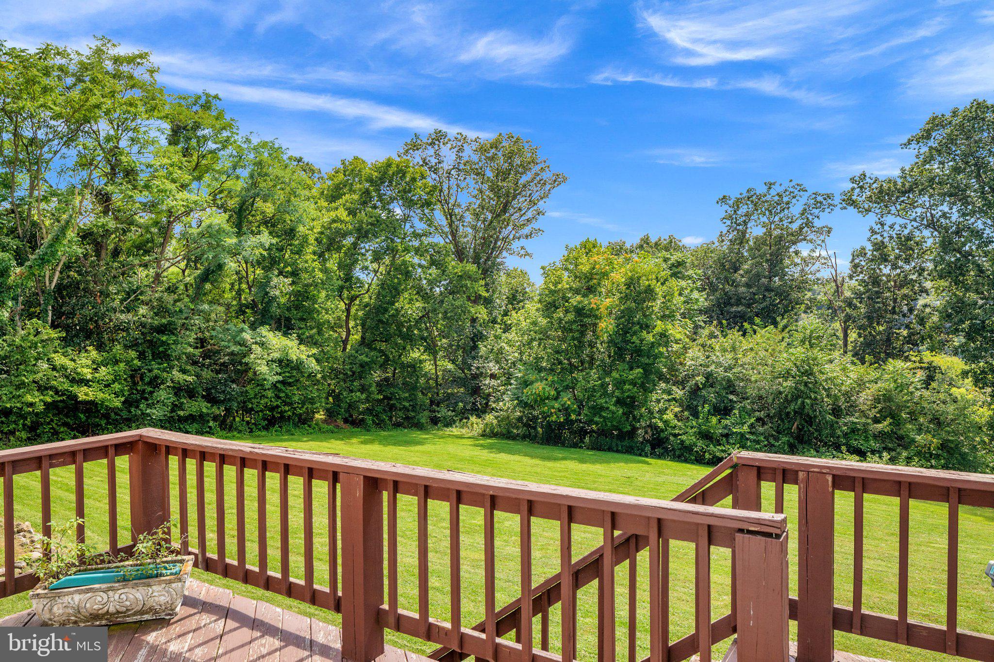 409 Stickley Loop Strasburg, VA 22657 - Photo 28 of 43 View from rear deck