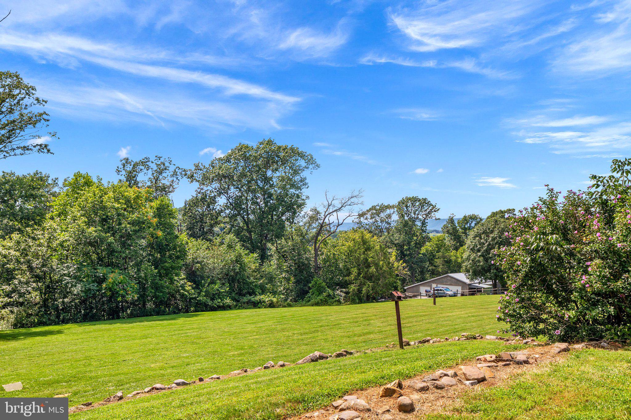 409 Stickley Loop Strasburg, VA 22657 - Photo 29 of 43 Backyard view