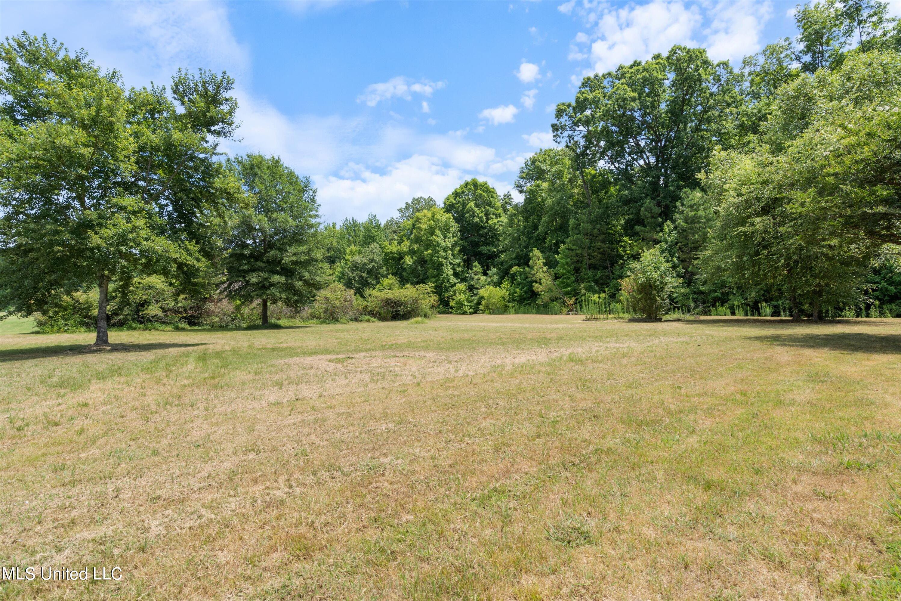 895 Rodeo Way Nesbit, MS 38651 - Photo 4 of 30 04-Front-Side Yard