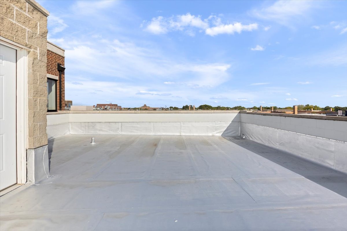 2463 West Foster Avenue, Unit 3 Chicago, IL 60625 - Photo 29 of 31 a view of an ocean and city