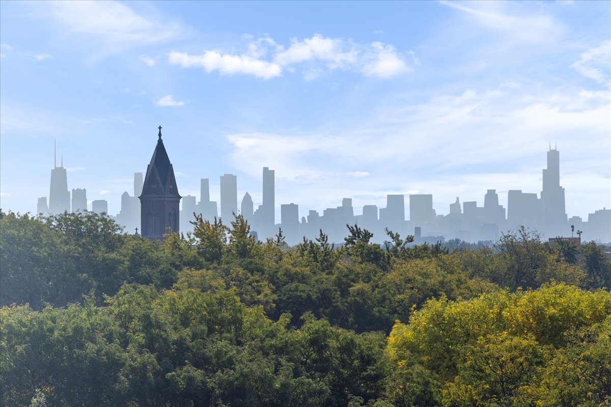 2463 West Foster Avenue, Unit 3 Chicago, IL 60625 - Photo 30 of 31 a view of a city with tall buildings