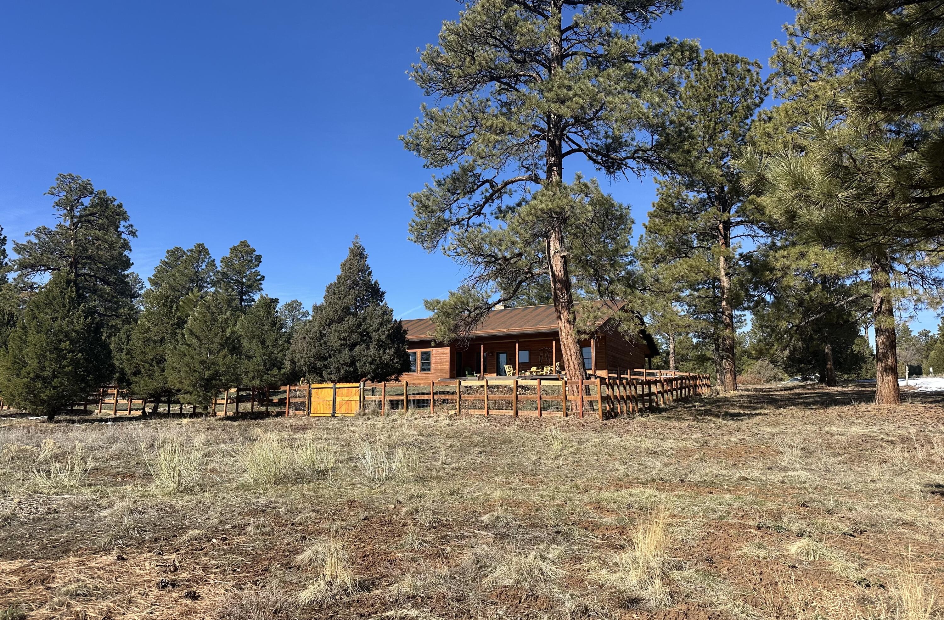 213 Big Canyon Point Ridgway, CO 81432 - Photo 26 of 41 a front view of a house with a yard