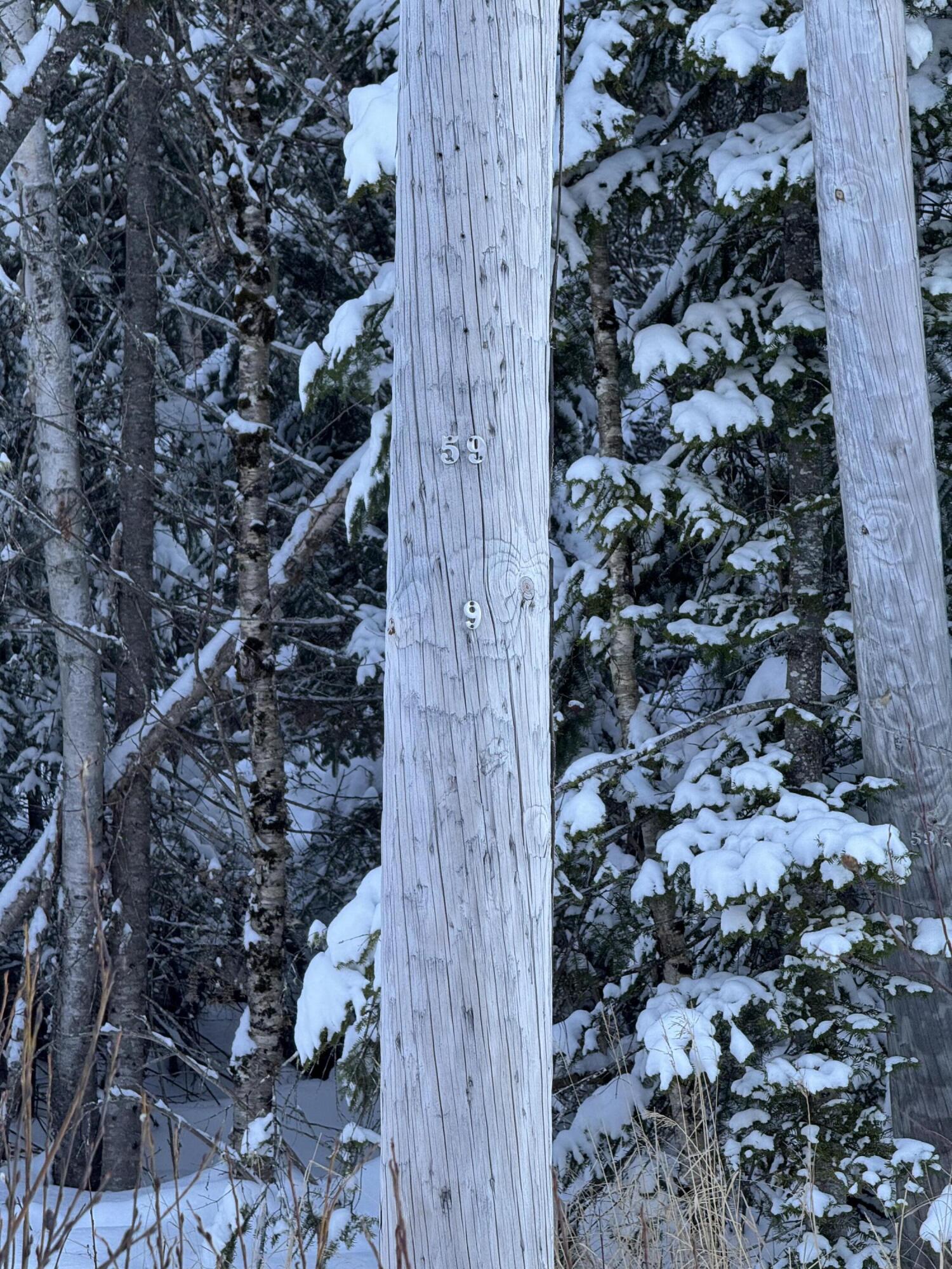 101 Saddleback Mountain Road Dallas Plt, ME 04970 - Photo 4 of 7