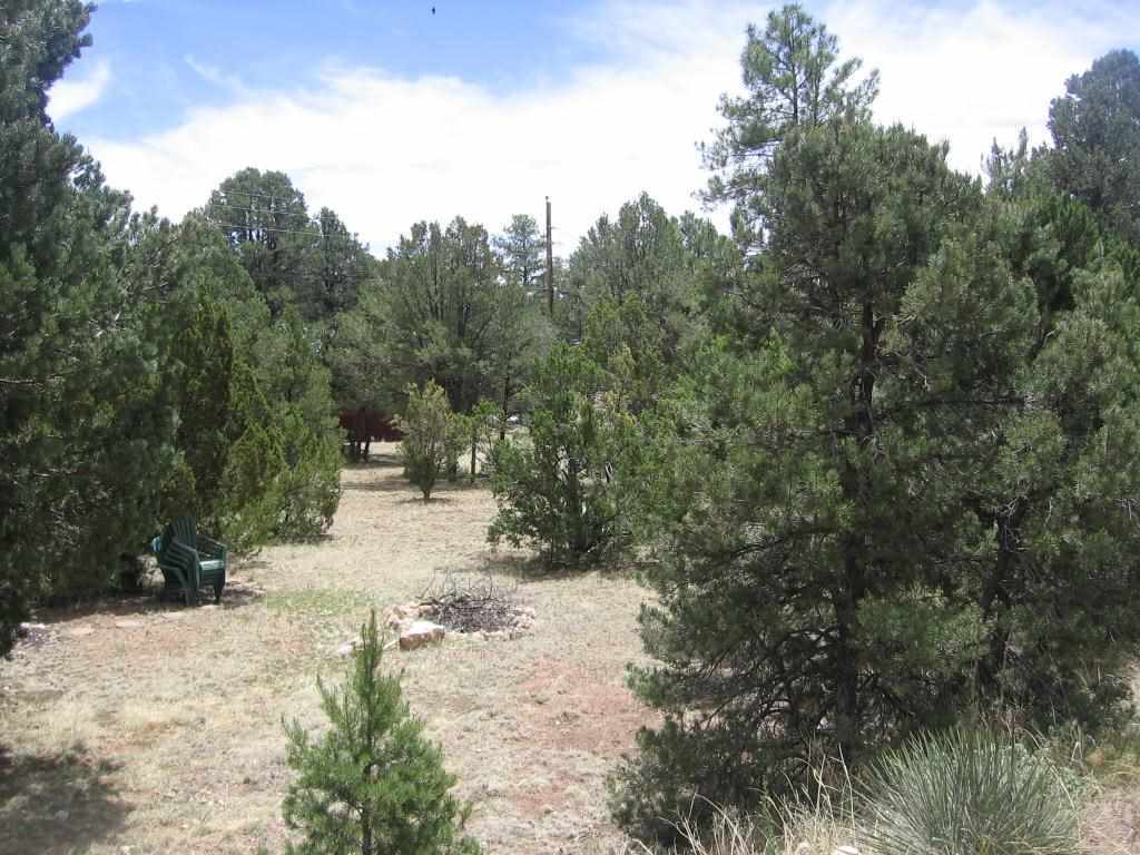 3585 Broken Arrow Road Overgaard, AZ 85933 - Photo 5 of 29