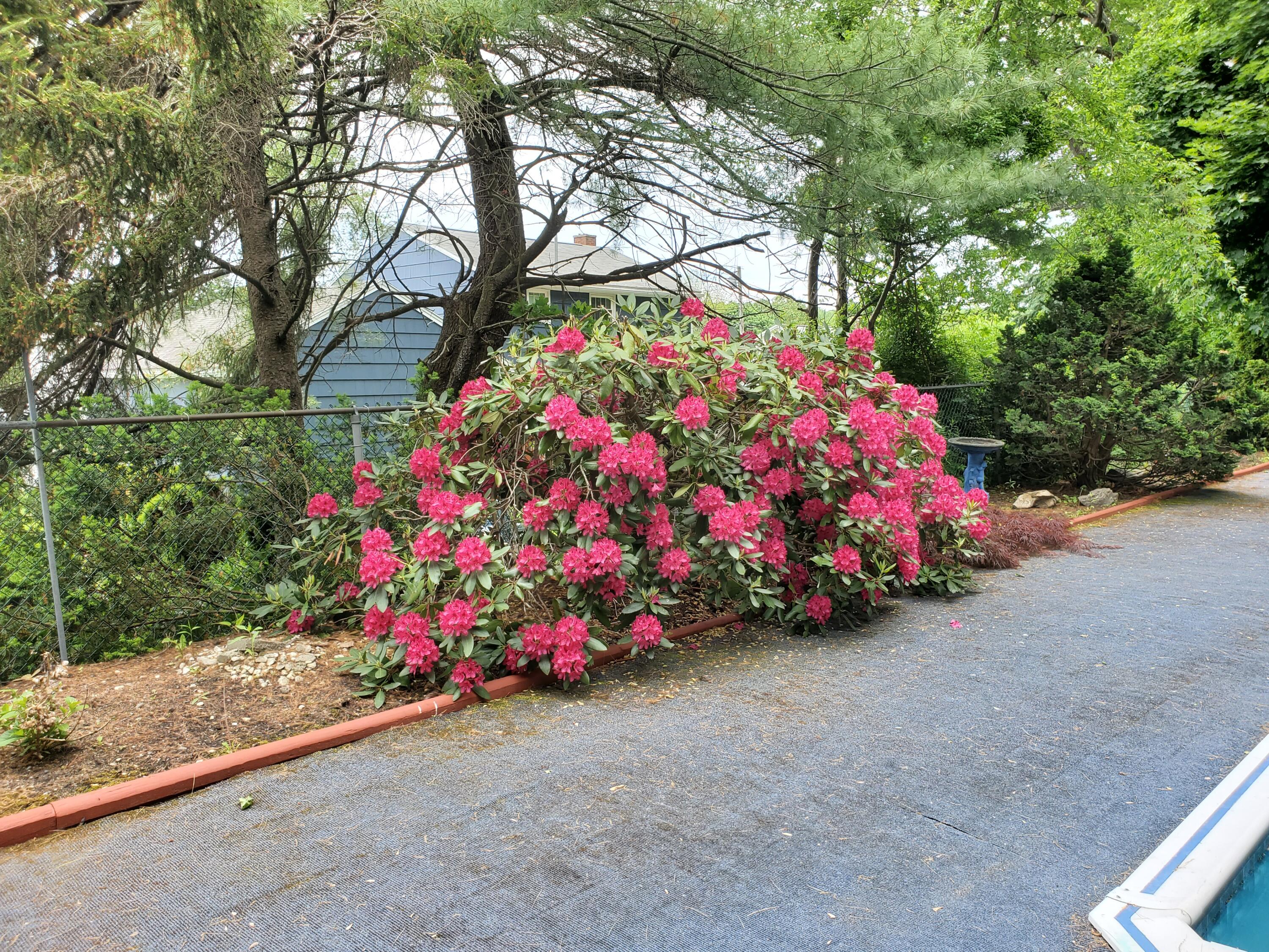 39 Mona Road Portland, ME 04103 - Photo 23 of 24 Gardens