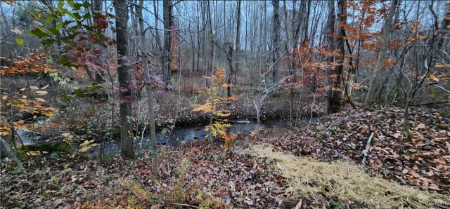 $19,900 | 47 Cemetery Drive, Hannibal, NY 13074